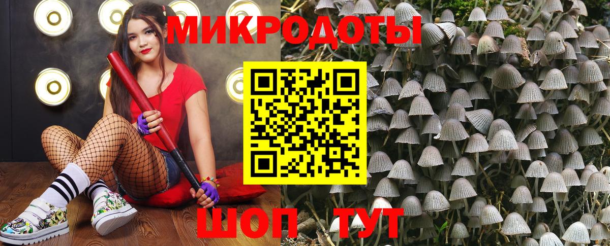 Галлюциногенные грибы Magic Shrooms Ржев