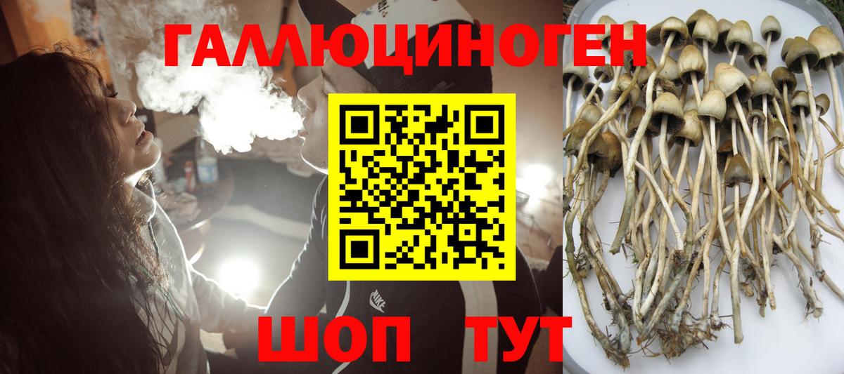 Псилоцибиновые грибы GOLDEN TEACHER  Вход с VPN  как найти закладки  Ржев 